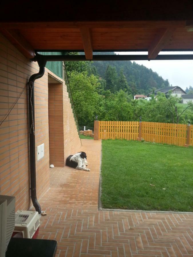 Sostanj Velenje Ravne Sobe Rooms Vrtacnik D O O Exterior foto